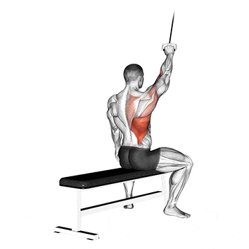 Alternate lateral pulldown gif