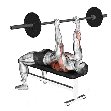 Barbell pullover to press gif