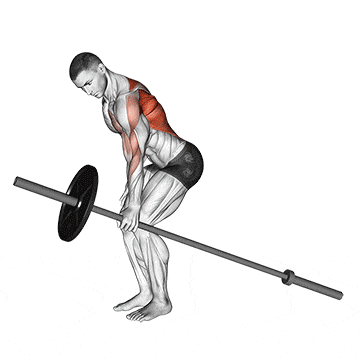 Barbell one arm bent over row gif