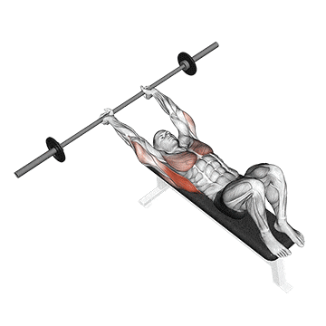 Barbell pullover gif
