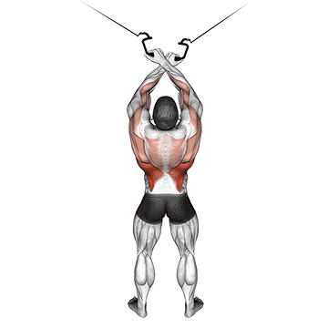 Cable cross-over lateral pulldown gif