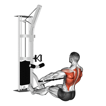 Cable floor seated wide-grip row gif