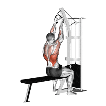Cable lateral pulldown (with rope attachment) gif