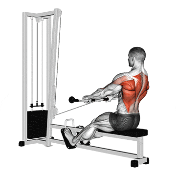 Cable low seated row gif