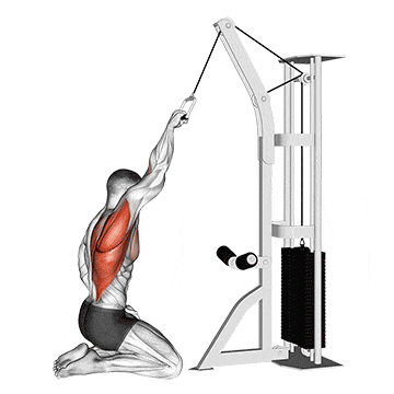 Cable one arm straight back high row (kneeling) gif