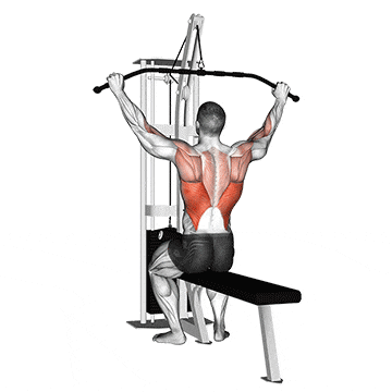 Cable pulldown (pro lat bar) gif