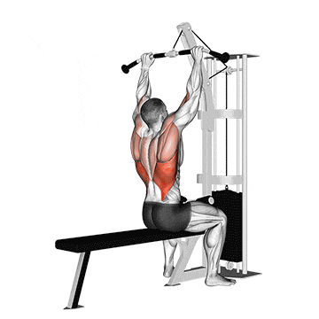Cable pulldown gif
