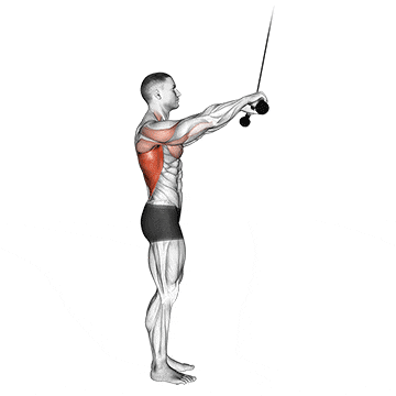 Cable pushdown (straight arm) v. 2 gif