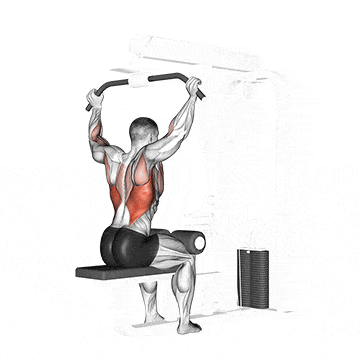 Cable rear pulldown gif