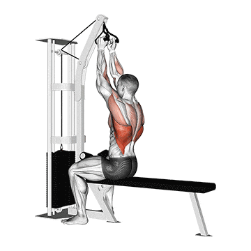 Cable seated high row (v-bar) gif
