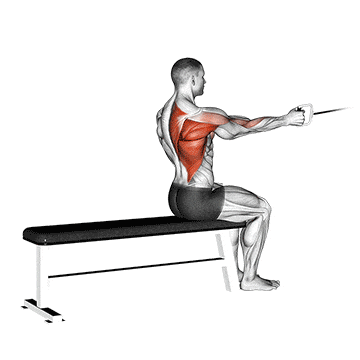 Cable seated one arm alternate row gif