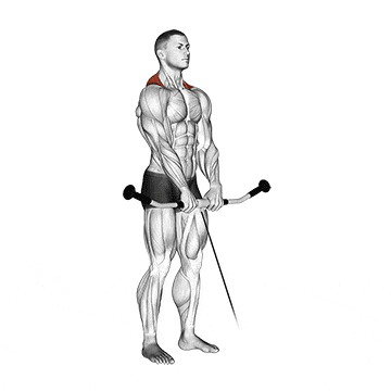 Cable shrug gif