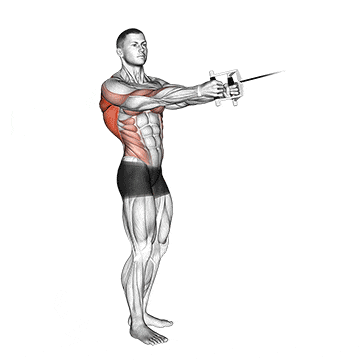 Cable standing twist row (v-bar) gif