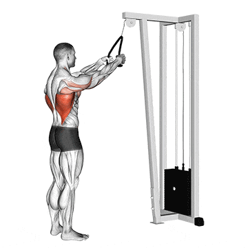 Cable straight arm pulldown (with rope) gif