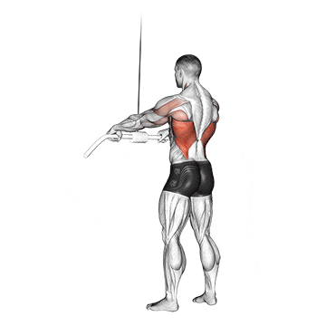 Cable straight arm pulldown gif