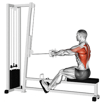Cable straight back seated row gif