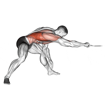 Cable twisting pull gif