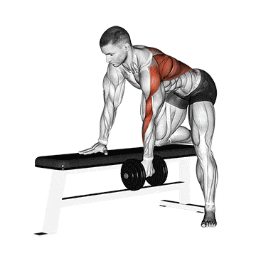 Dumbbell one arm bent-over row gif
