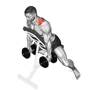 Dumbbell decline shrug gif
