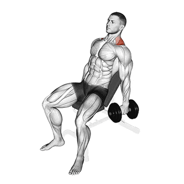 Dumbbell incline shrug gif