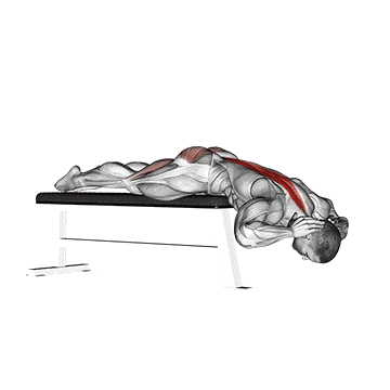 Hyperextension (on bench) gif