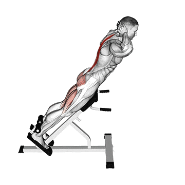 Hyperextension gif