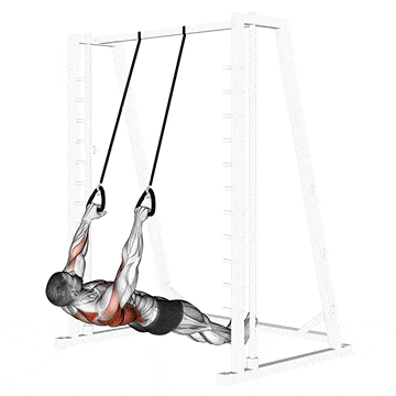 Inverted row with straps gif