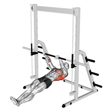 Inverted row gif