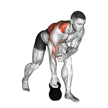 Kettlebell one arm row gif