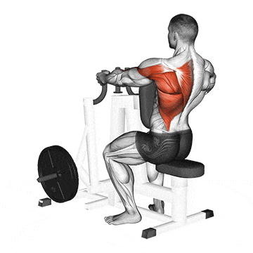Lever alternating narrow grip seated row  gif