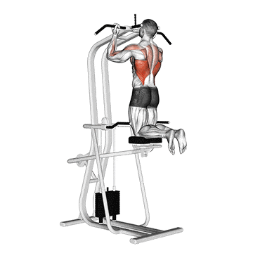 Lever assisted chin-up gif