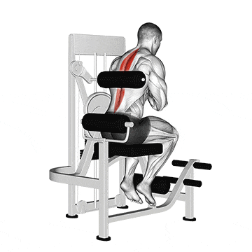 Lever back extension gif