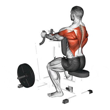Lever narrow grip seated row  gif