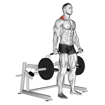 Lever shrug  gif