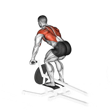 Lever t bar row  gif