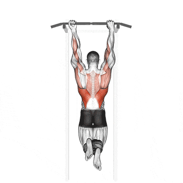Mixed grip chin-up gif