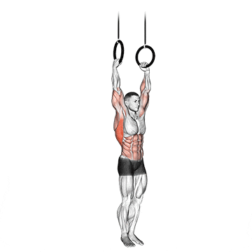 Muscle up gif