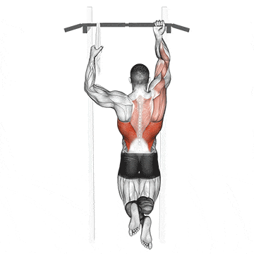 One arm chin-up gif