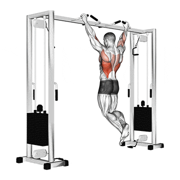 Pull up (neutral grip) gif
