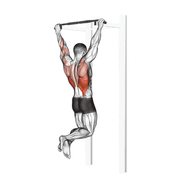 Pull-up gif