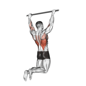 Rear pull-up gif