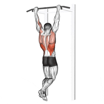 Rocky pull-up pulldown gif