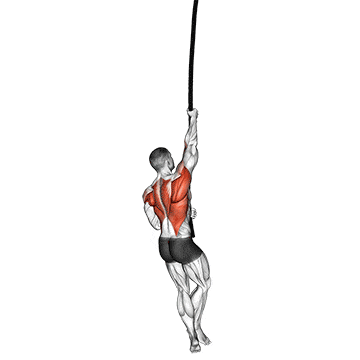 Rope climb gif