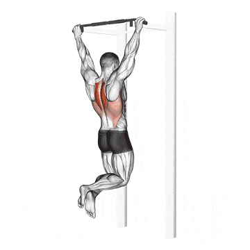 Scapular pull-up gif