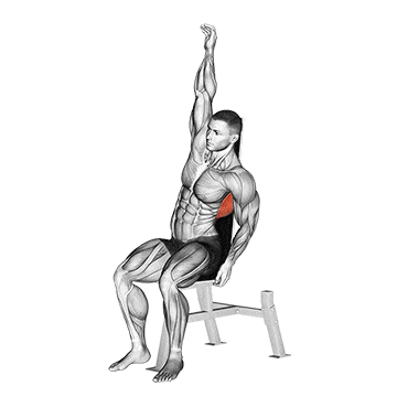 Seated lower back stretch gif
