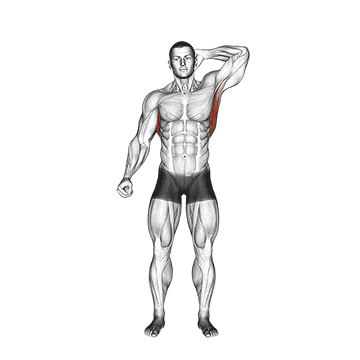Standing lateral stretch gif