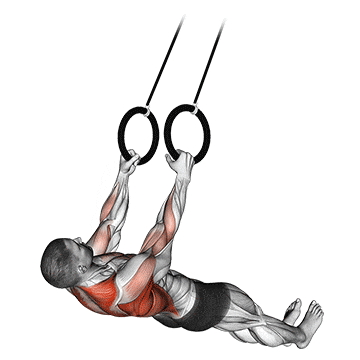 Suspended row gif