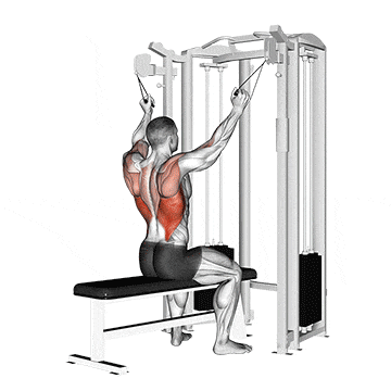 Twin handle parallel grip lat pulldown gif