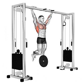 Weighted pull-up gif