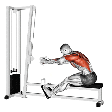 Cable seated row gif